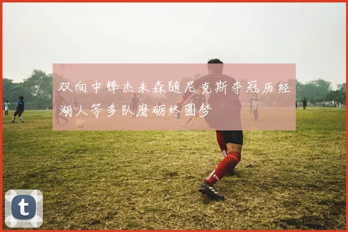 双向中锋杰米森随尼克斯夺冠历经湖人等多队磨砺终圆梦